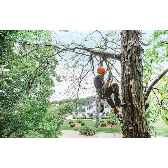 STIHL® MS 201 T C-M 14 Chainsaw