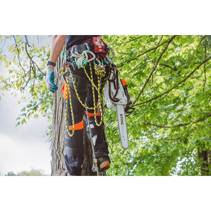STIHL® MS 201 T C-M 14 Chainsaw
