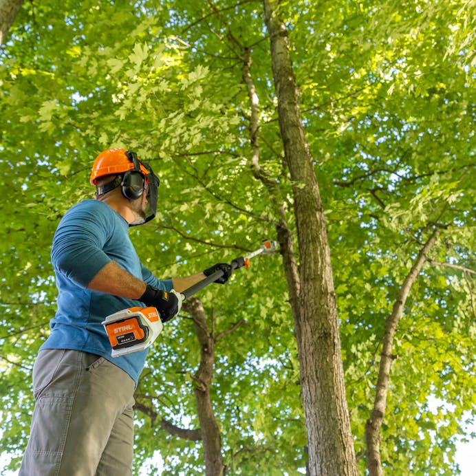 STIHL® HTA 50